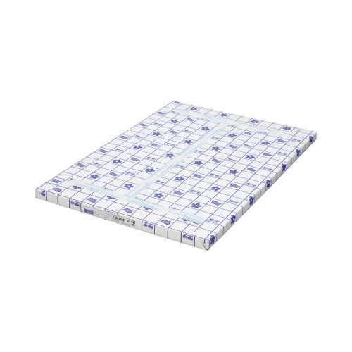 タイプ2 スーパー高白色 A2 1冊(250枚)