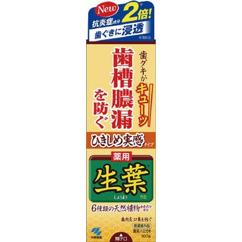 ひきしめ生葉100g