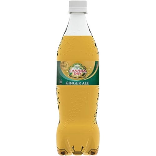 カナダドライジンジャーエール 700ml 20本