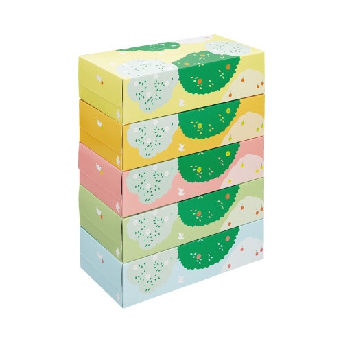 ボックスティシュー バード柄200組(5箱入)×4