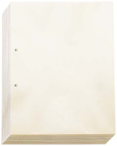 透明ポケット2穴 A4 100枚