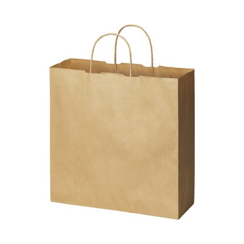 丸紐手提げ袋 スタンダード茶(未晒)M 50枚×6