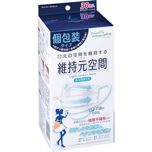 個包装 維持元空間マスク ふつう 30枚×30
