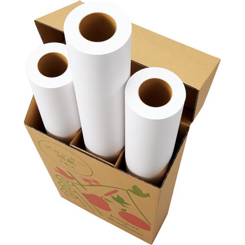 普通紙64g 594mm×60m 3本入