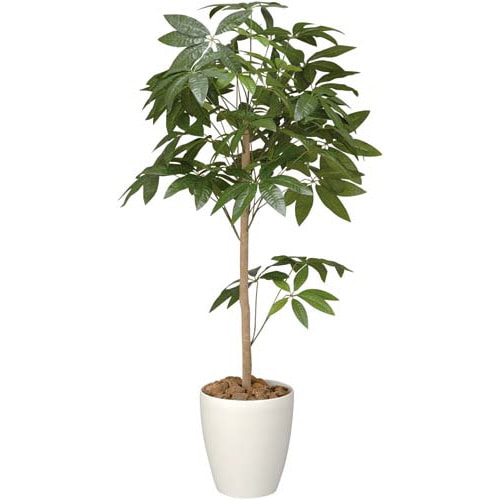 人工植物 パキラトピアリー 高さ1200 光触媒