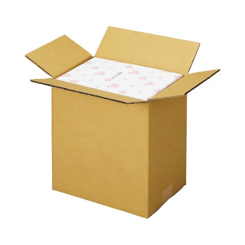 宅配用ダンボール 3辺合計80cm B5 100枚