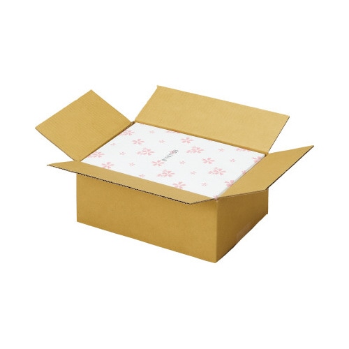 宅配用ダンボール 3辺合計60cm B5 60枚