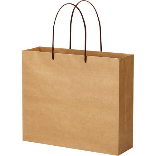 クラフトバッグ 丸紐 LL 10枚