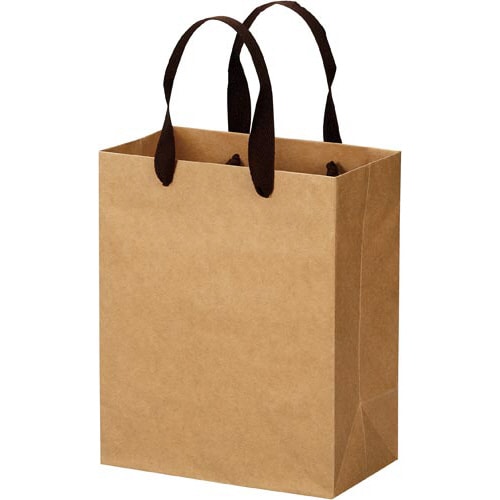 クラフトバッグ 平紐 S 10枚