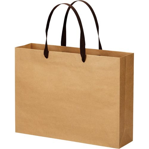 クラフトバッグ 平紐 L 10枚