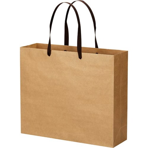 クラフトバッグ 平紐 LL 10枚