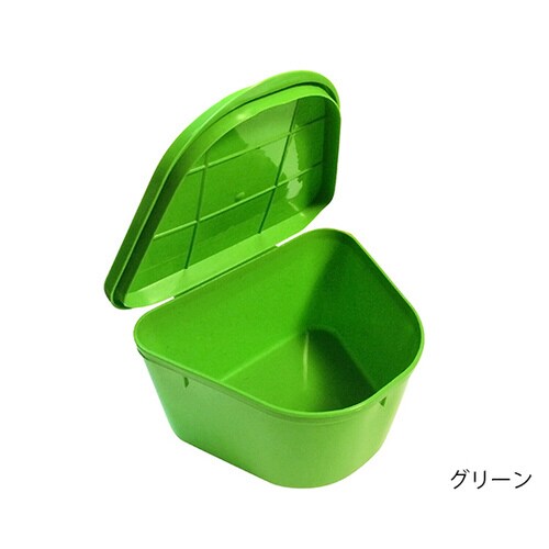 入れ歯ケース (書き込みスペース付き) グリーン
