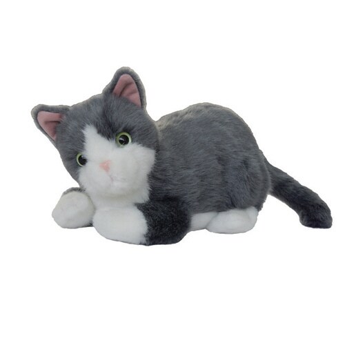 おしらせミイちゃん