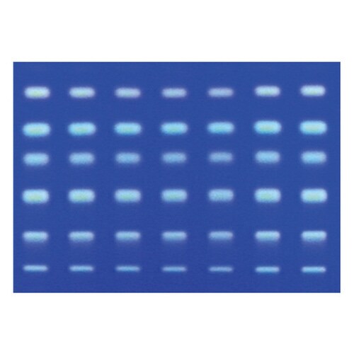 未修飾TLCプレート 蛍光指示薬無 20