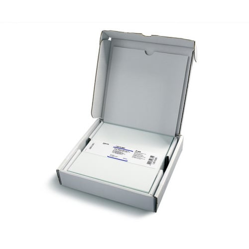 未修飾TLCプレート 蛍光指示薬無 20