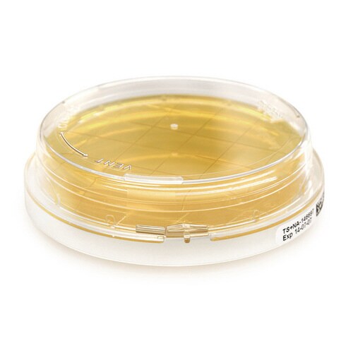 ICRプラスコンタクトプレート (含有成