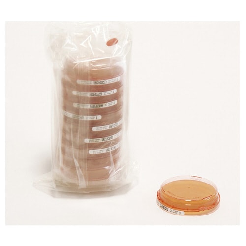 ICRプラスコンタクトプレート (含有成