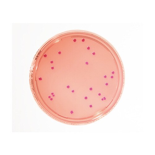 微生物試験培地1.46000.0020