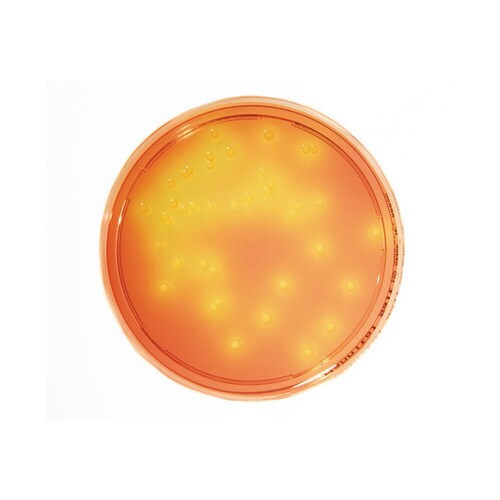 微生物試験培地1.46023.0020