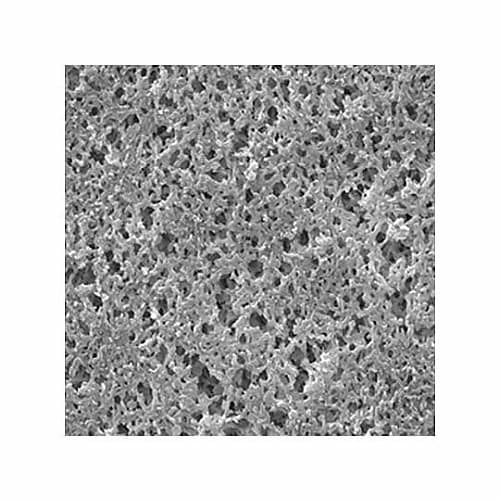 GNWP02500 NYLON DISC