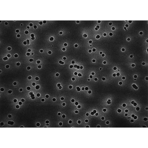 HTBP02500 ISOPORE DI