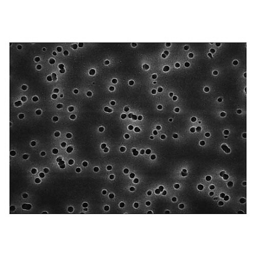 TSTP04700 ISOPORE DISK