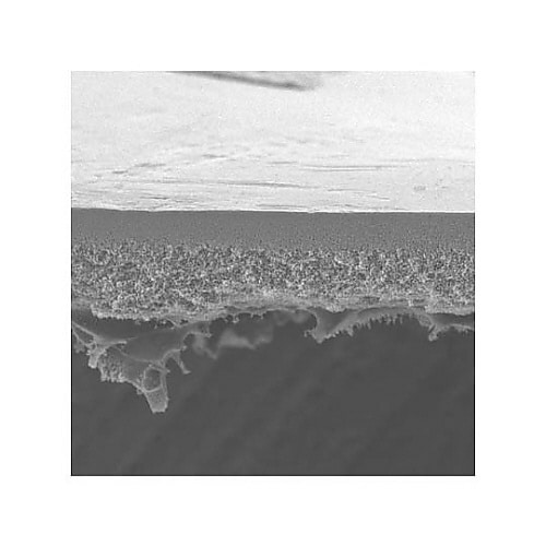 PBCC04310 B5K 44.5MM