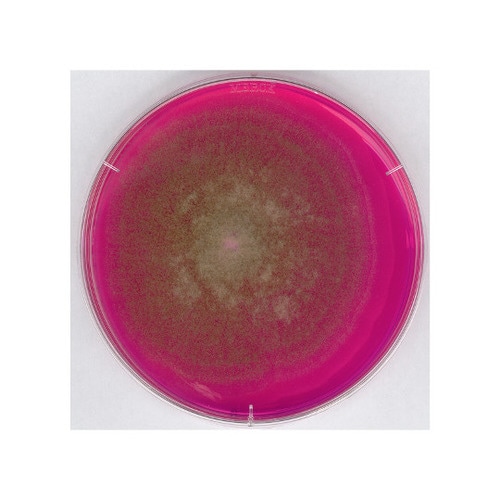 1.00467.0500 ローズベンガル