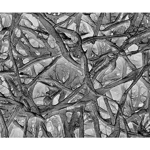 AP1001300 ABSORBENT
