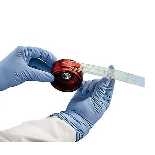 YY1301009 PLUG 1/4IN