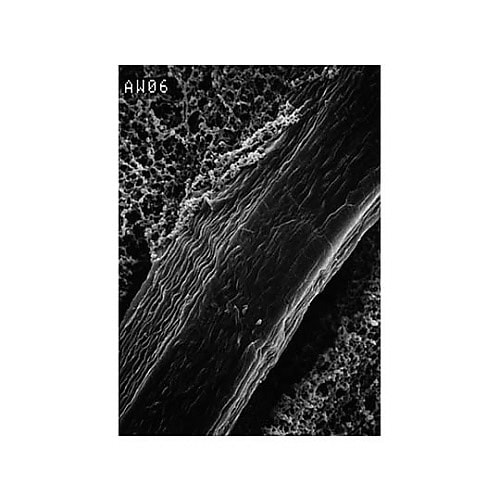 RW0604700 REINFORCED