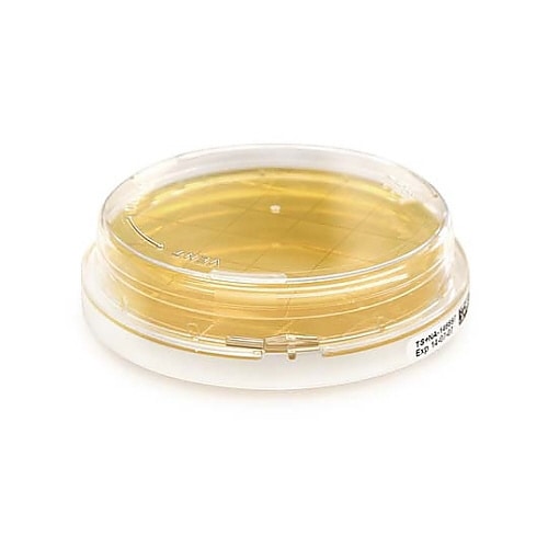 1.46555.0020 Blood C