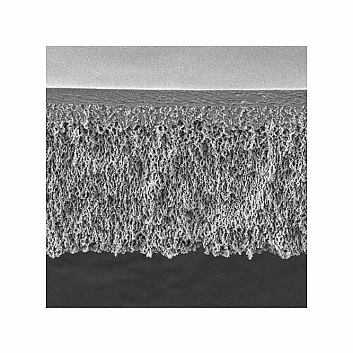 14451 UF DISCS YM100