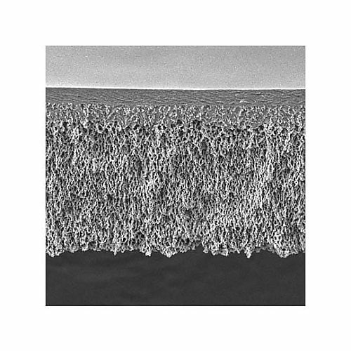 PLCC07610 UF DISCS P