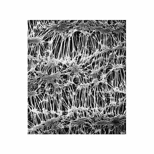 FHUP04700 FLUOROPORE