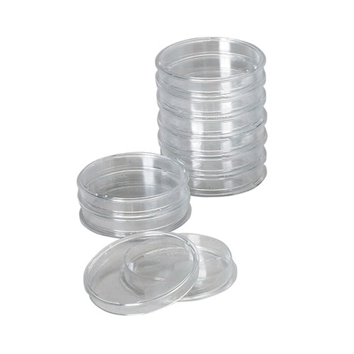 42004010 ペトリディッシュ