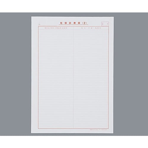 社保カルテ A4サイズ2号紙 371