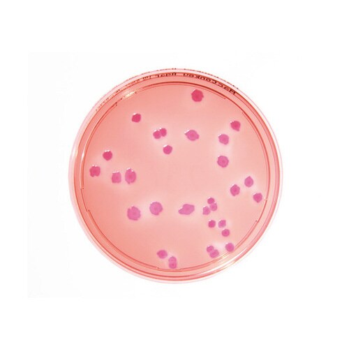 微生物試験培地1.46022.0020