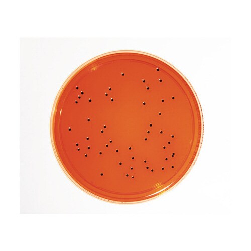 微生物試験培地1.46073.0020