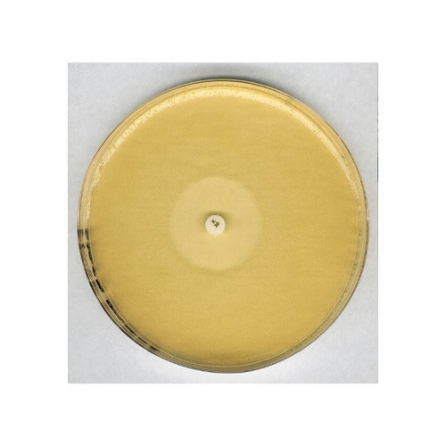 1.05269.0500 抗生物質寒天