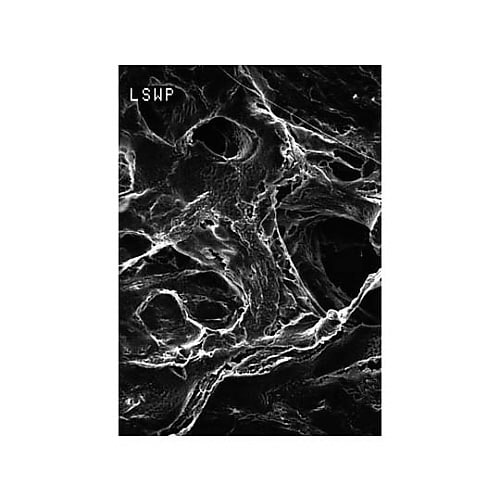 LSWP02500 MITEX DISC