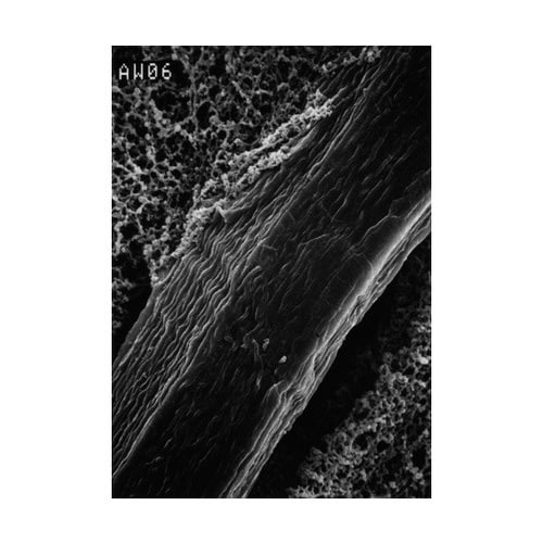 RW1904700 REINFORCED