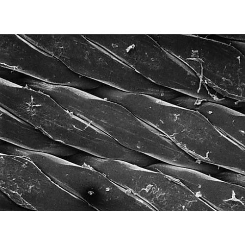 PP2514250 PREFILTRAT