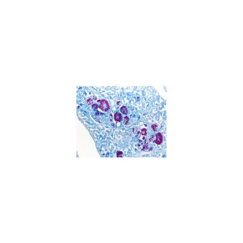 1.02560.0001 ISOSLID