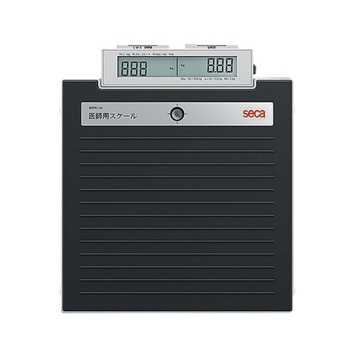 デジタルフラットスケール 検定付4級