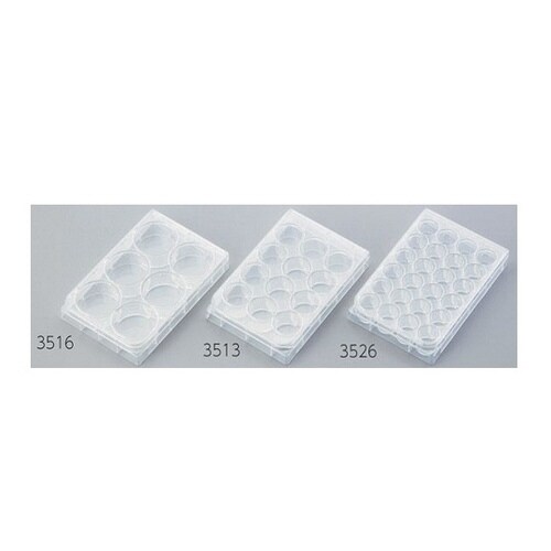 マルチプルウェルプレート 12ウェル平底 3513