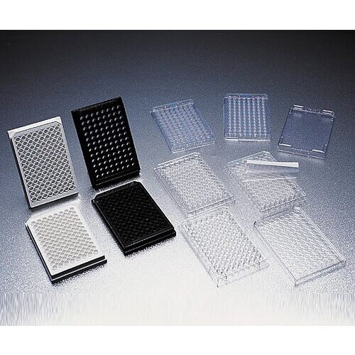 セルカルチャープレート 353075