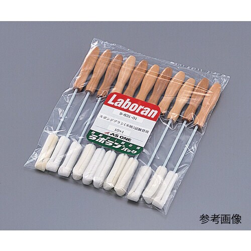 ラボランスポンジブラシ木柄ビーカー11本