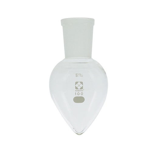 005410−29100フラスコ100mL