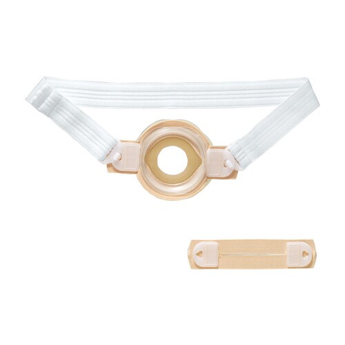 固定ベルト・II